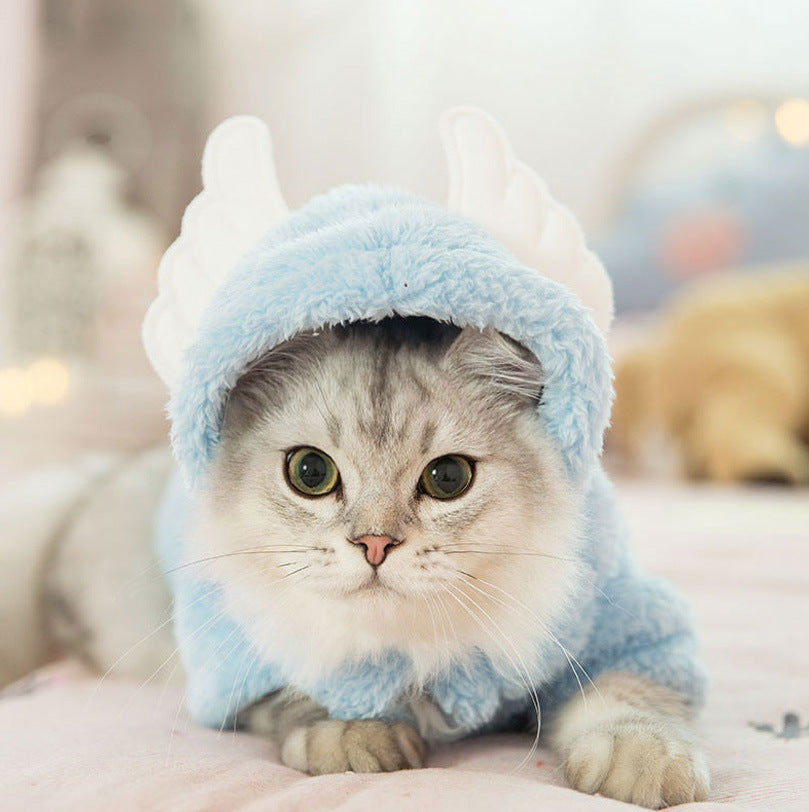 Cute Cat Clothes