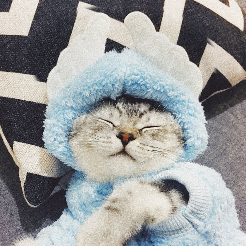 Cute Cat Clothes