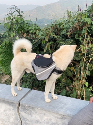 Dog Backpack