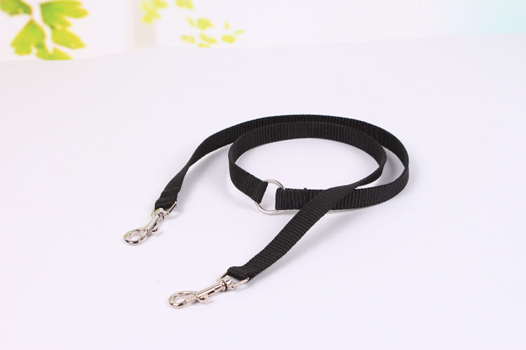 Dog Leashes