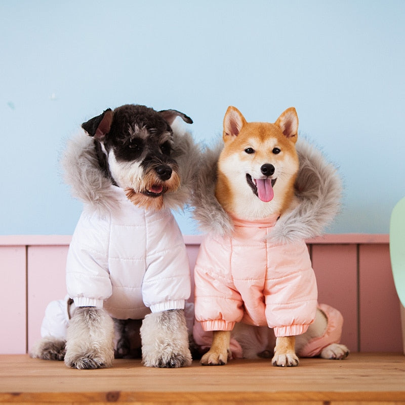 Dog high quality jackets clothes