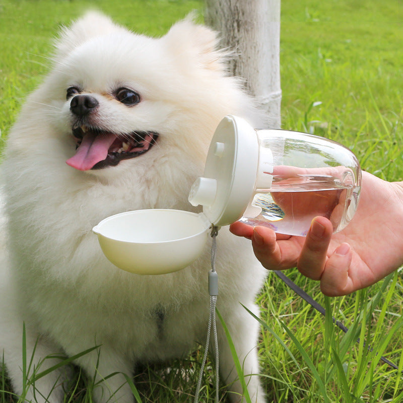 Foldable / Portable Pet Outdoor Drinking Glass
