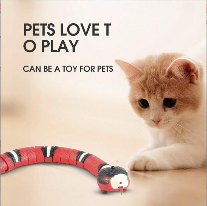 USB Charging Electric Interactive Toys For Cats