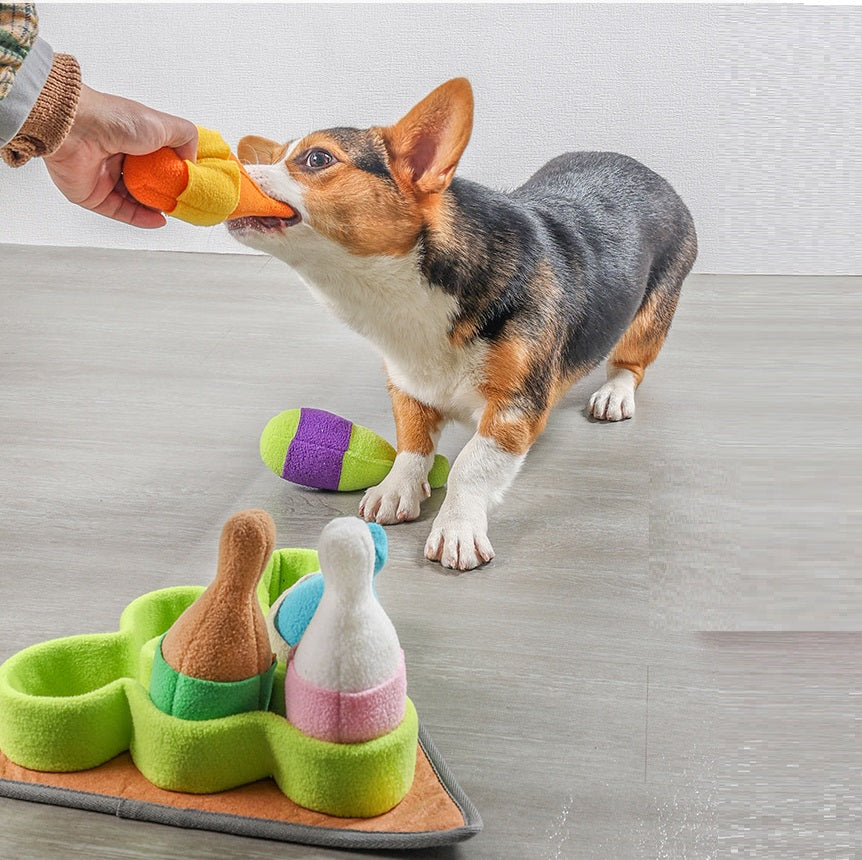 Pet Puzzle Training Bowl