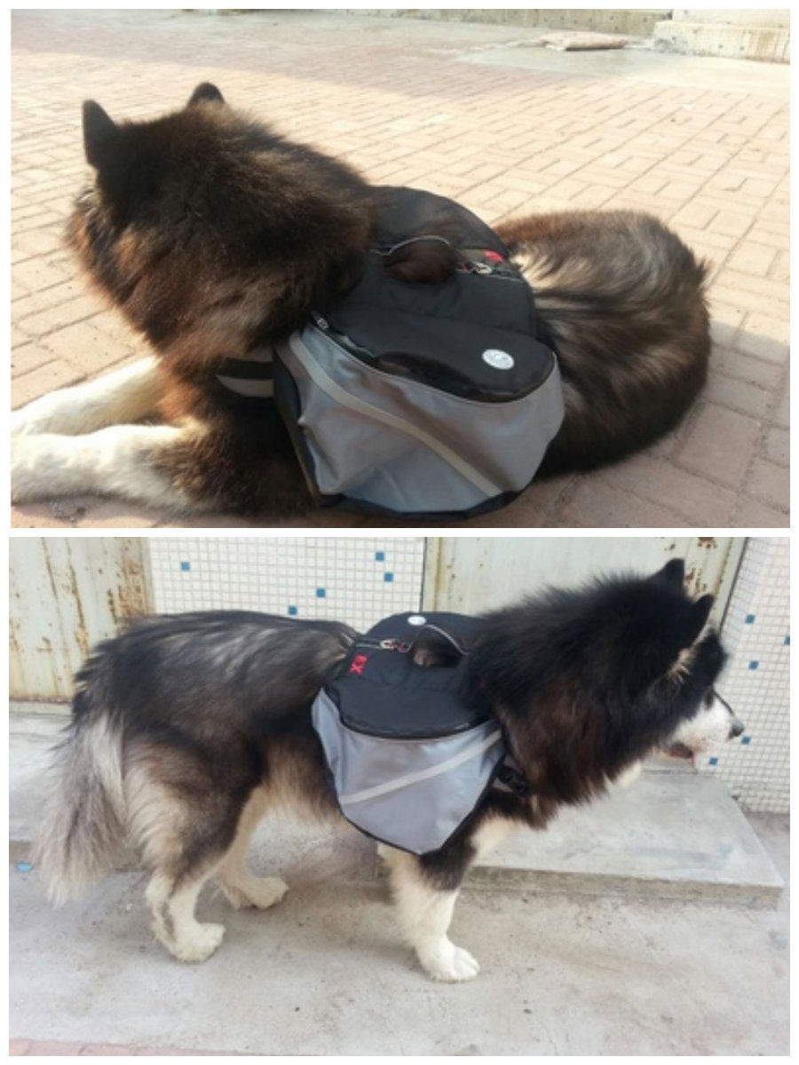 Dog Backpack