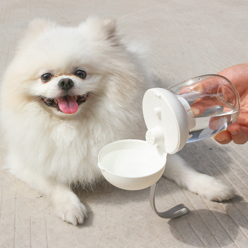 Foldable / Portable Pet Outdoor Drinking Glass