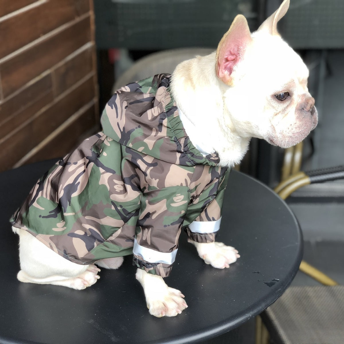 Pet trendy raincoat