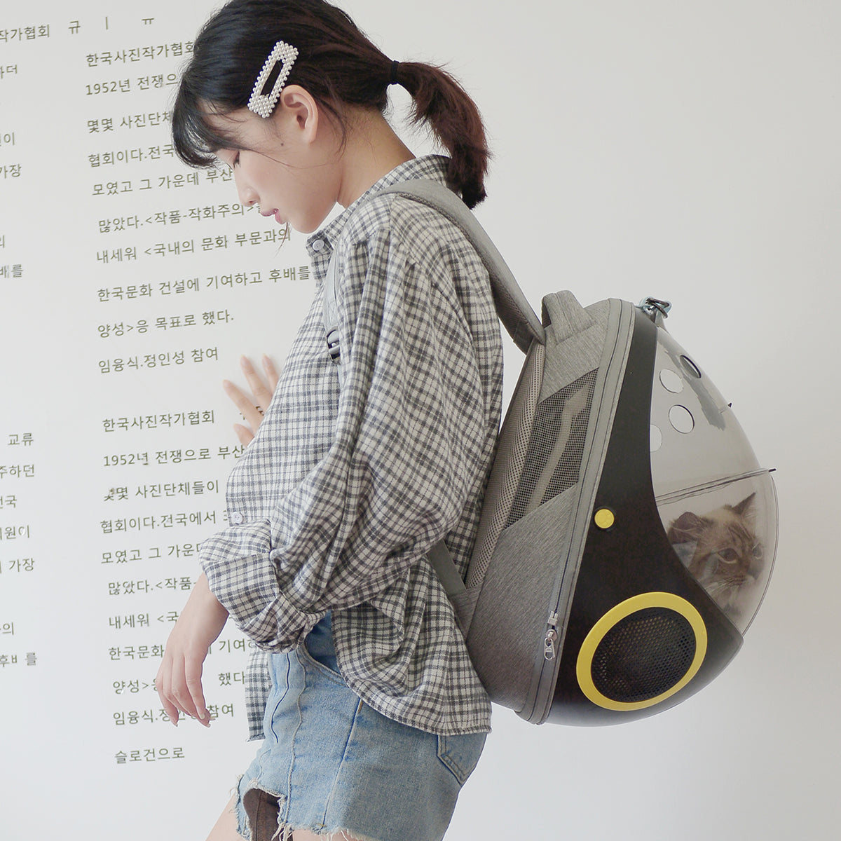 Breathable/Transparent Pet Egg Shell Backpack