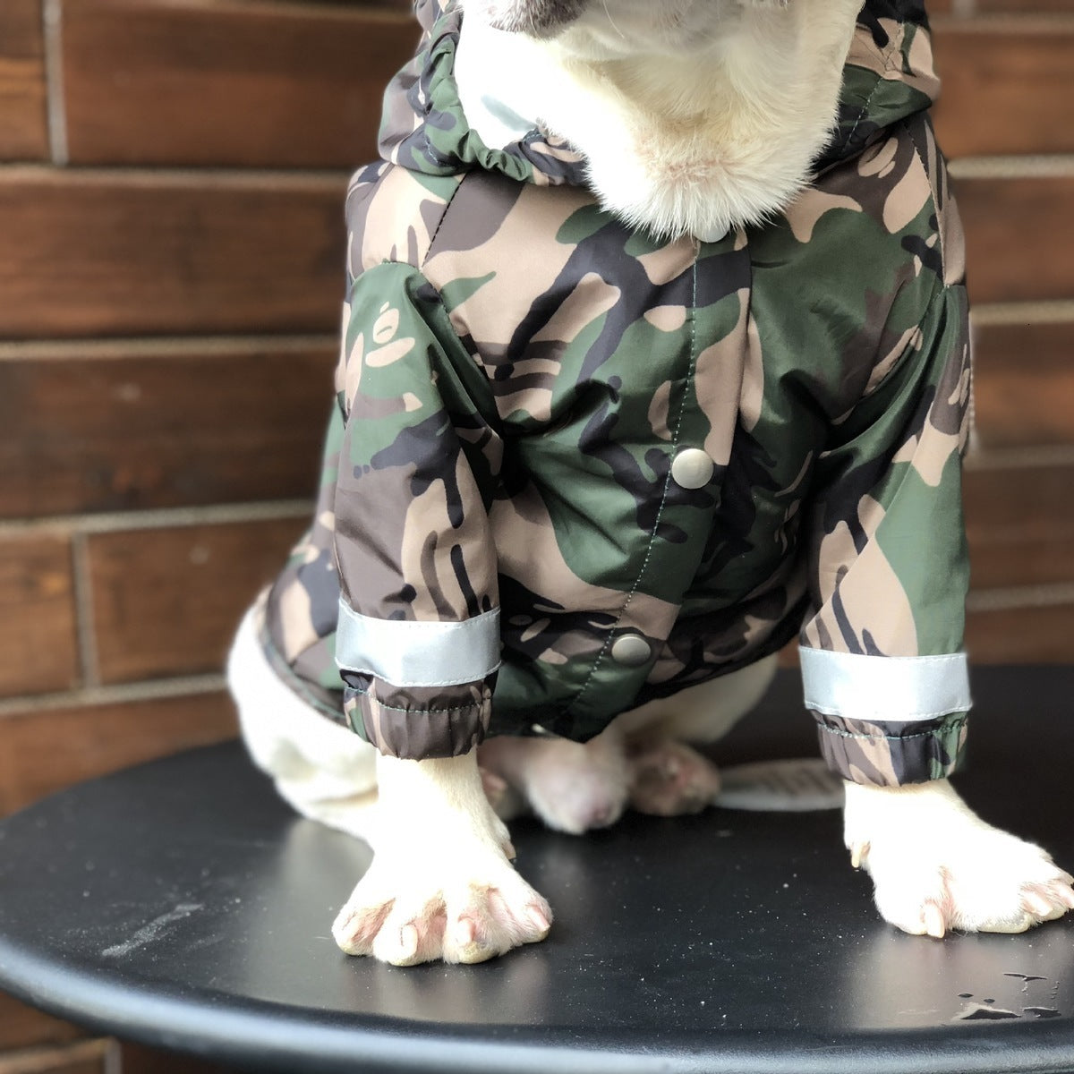 Pet trendy raincoat