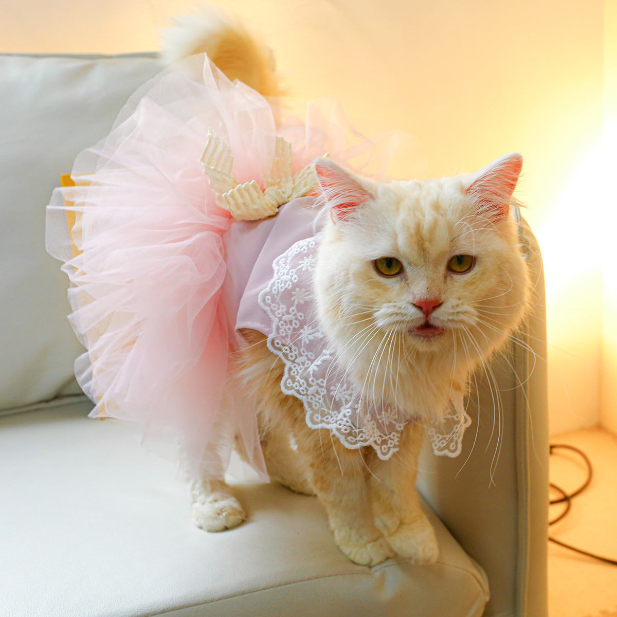 Pet Clothing Cat Clothes Lace Cat